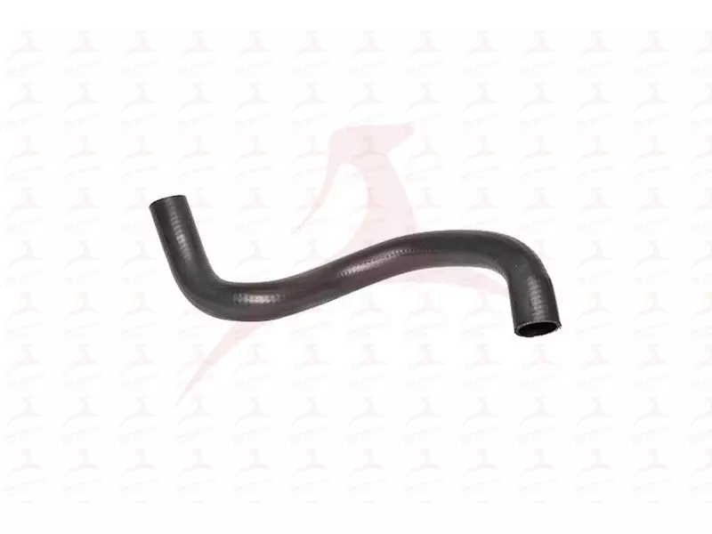 RADIATOR HOSE ( UPPER )