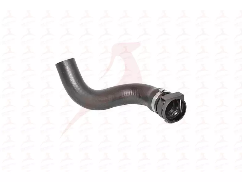 RADIATOR HOSE ( LOWER )