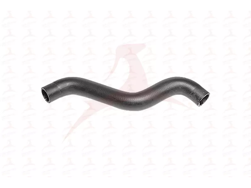 RADIATOR HOSE ( UPPER )