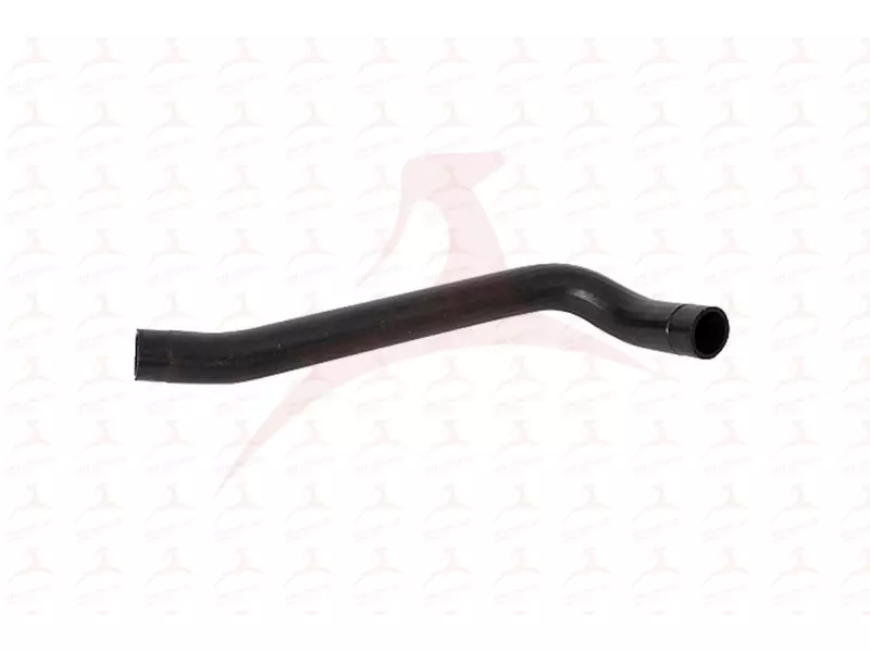 RADIATOR HOSE ( LOWER )