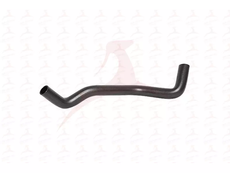 RADIATOR HOSE ( LOWER )