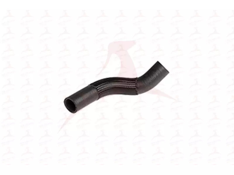 RADIATOR HOSE ( LOWER )