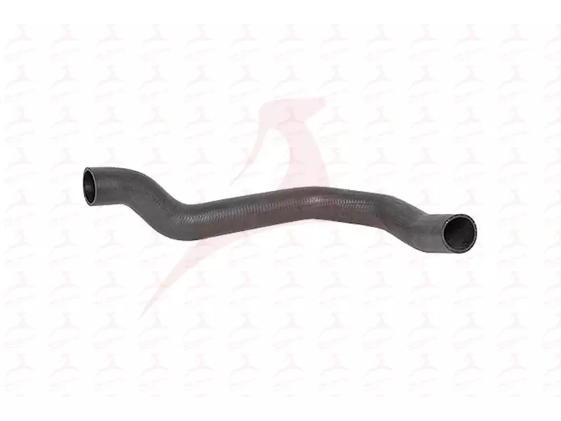 CHARGE AIR HOSE ( RH )