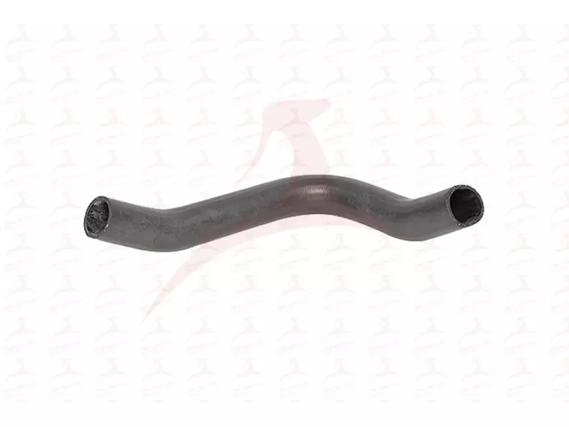 CHARGE AIR HOSE ( RH )