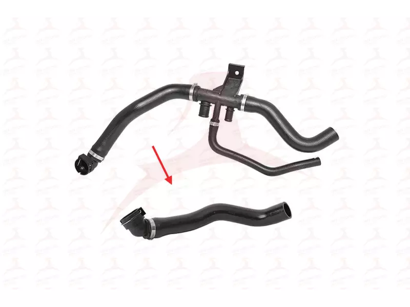 RADIATOR HOSE ( LOWER )