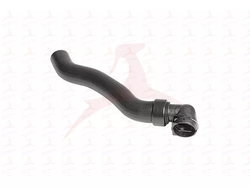RADIATOR HOSE ( LOWER )