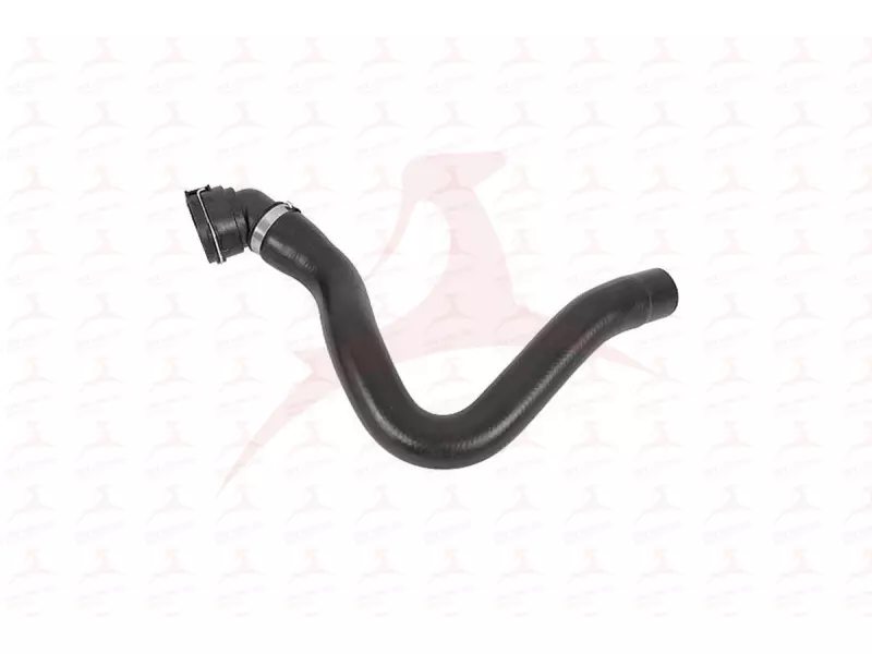 RADIATOR HOSE ( UPPER )