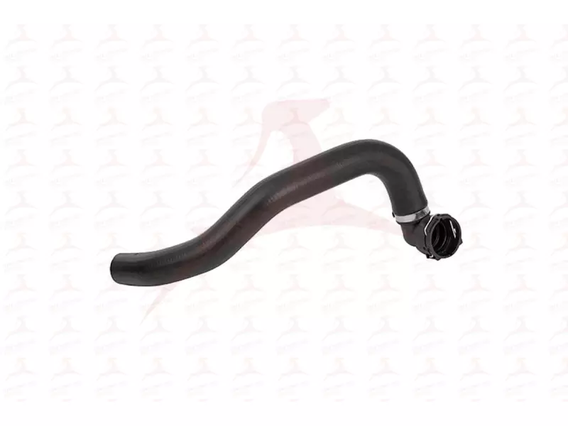 RADIATOR HOSE ( LOWER )