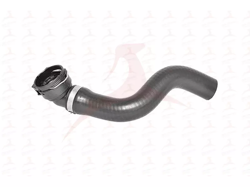 RADIATOR HOSE ( LOWER )