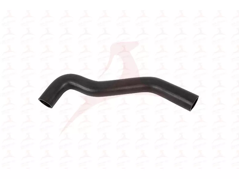 RADIATOR HOSE ( UPPER )