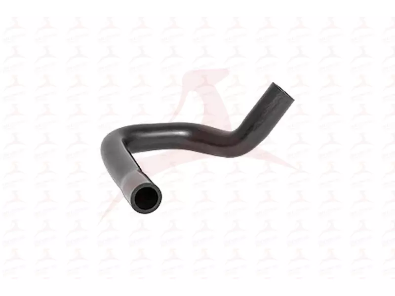 OIL HOSE