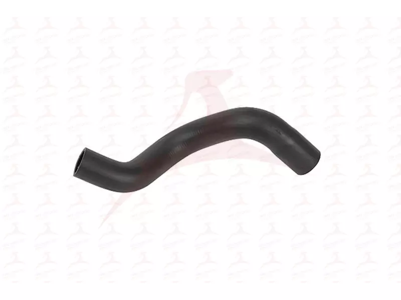 RADIATOR HOSE ( LOWER )