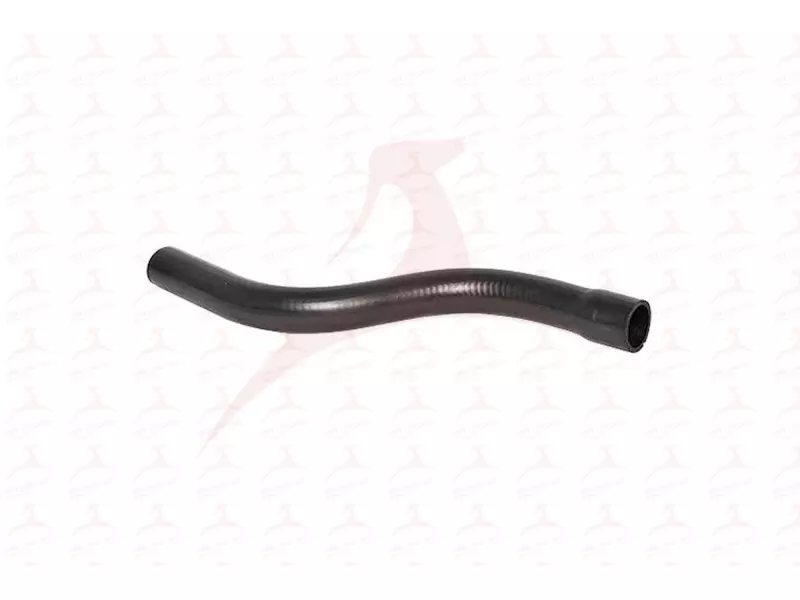 RADIATOR HOSE ( UPPER )