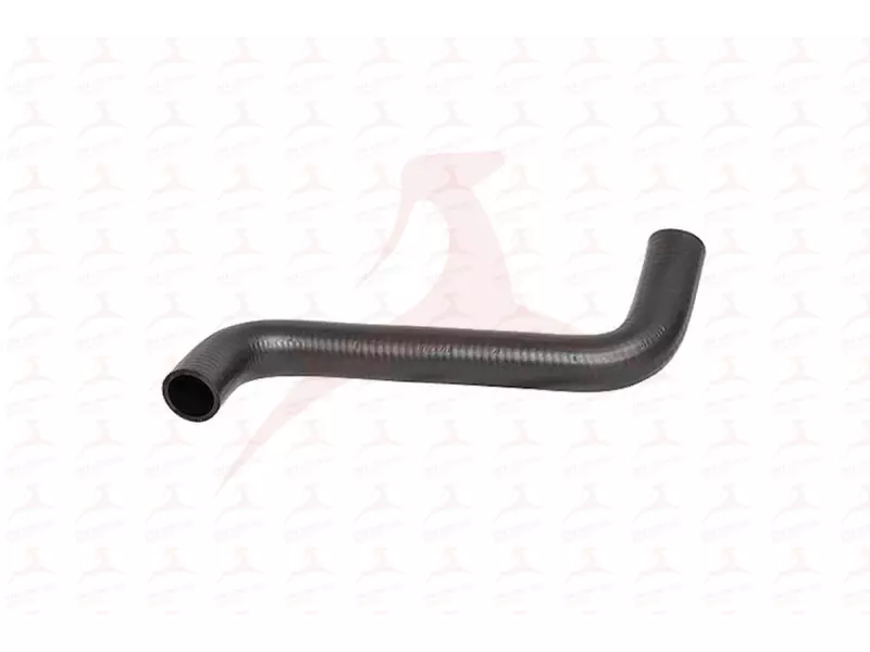 RADIATOR HOSE ( UPPER )