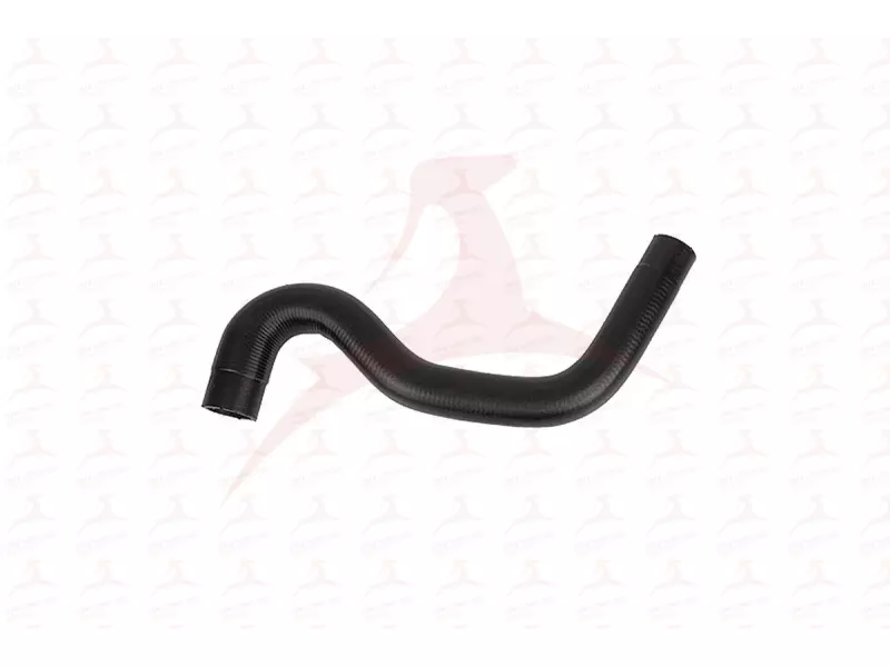 RADIATOR HOSE ( LOWER )