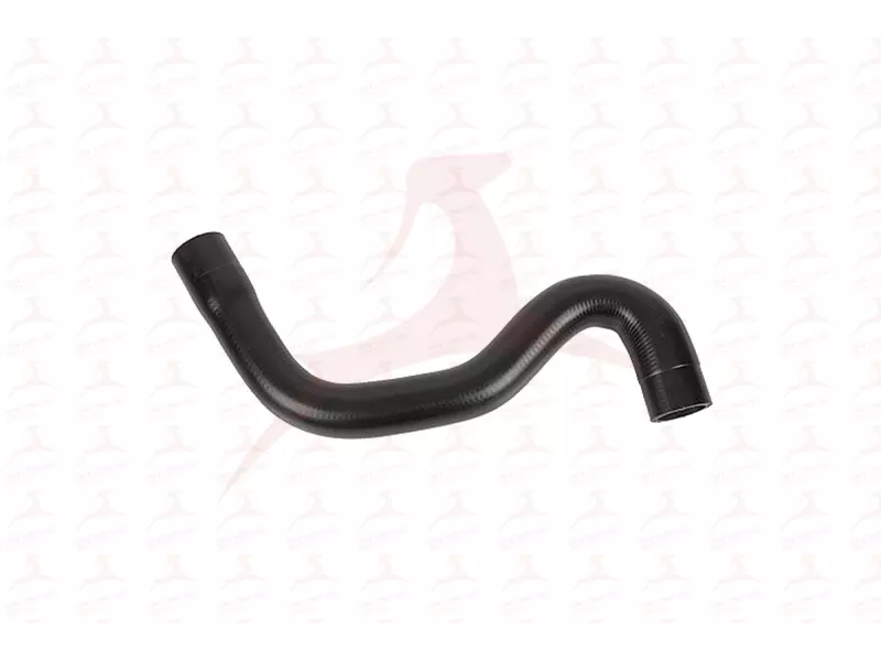 RADIATOR HOSE ( LOWER )