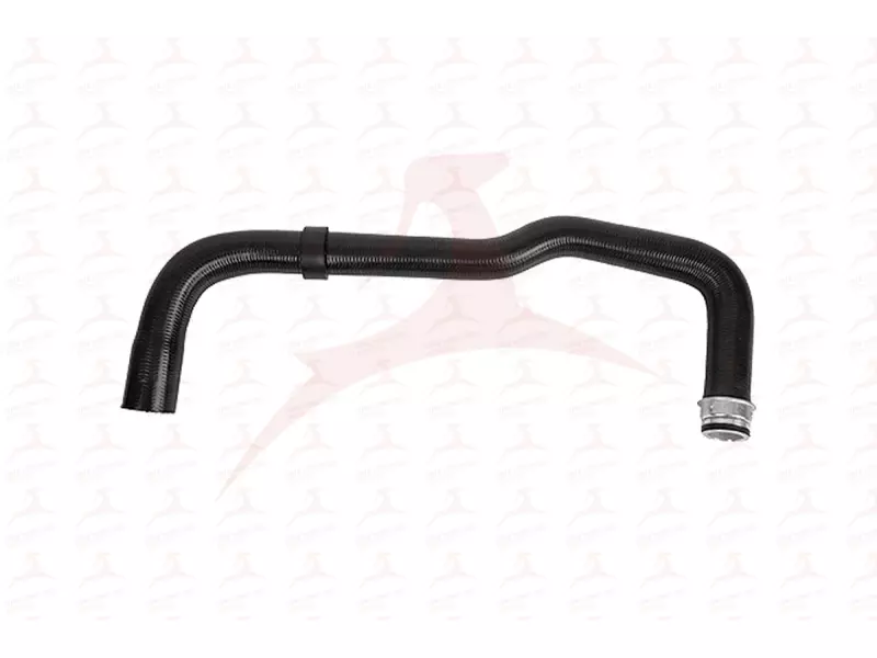 RADIATOR HOSE ( LOWER )