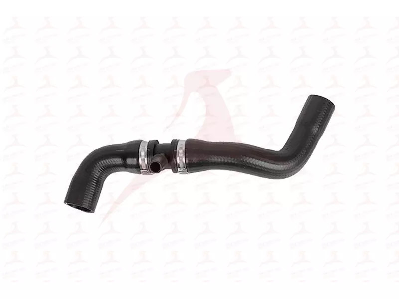 RADIATOR HOSE ( LOWER )