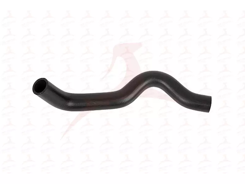 RADIATOR HOSE ( UPPER )