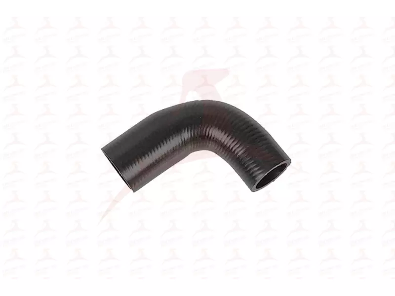 RADIATOR HOSE ( LH )