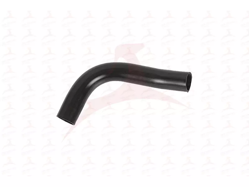 FUEL HOSE