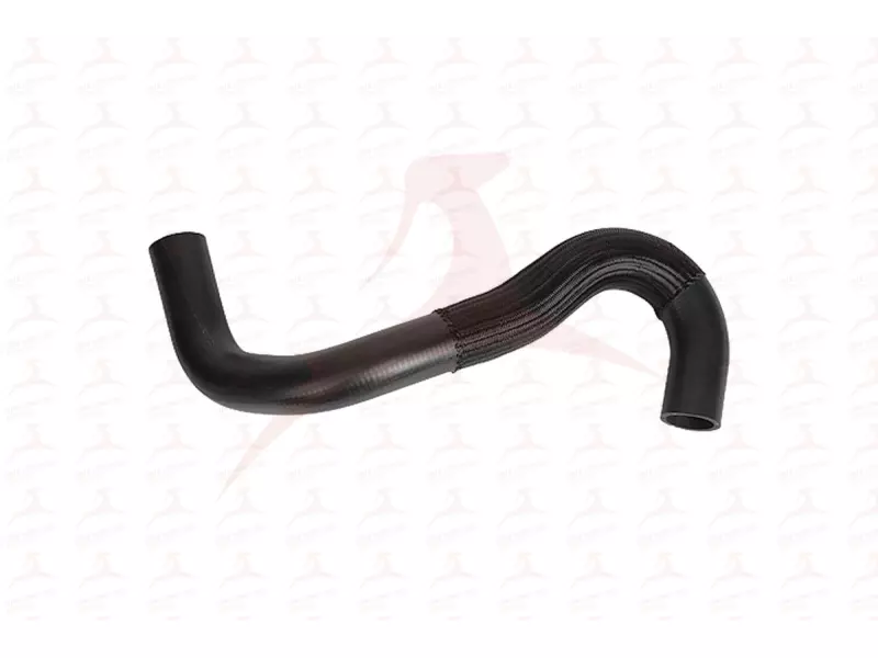RADIATOR HOSE ( LOWER )