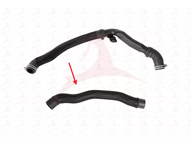 RADIATOR HOSE ( LOWER )