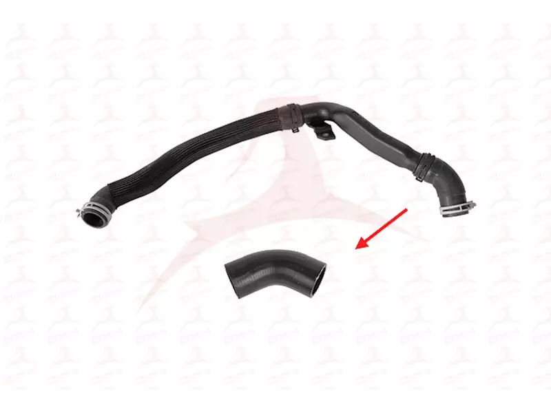 RADIATOR HOSE ( LOWER )