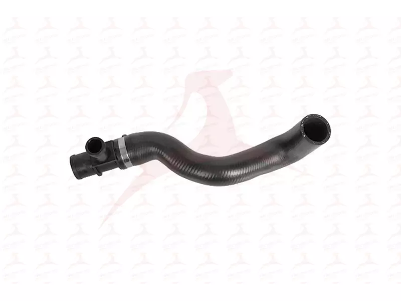 RADIATOR HOSE ( LOWER )