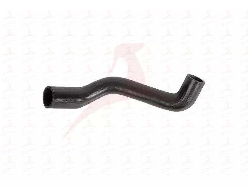 RADIATOR HOSE ( UPPER )