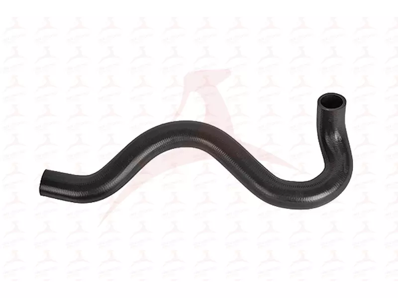RADIATOR HOSE ( LOWER )