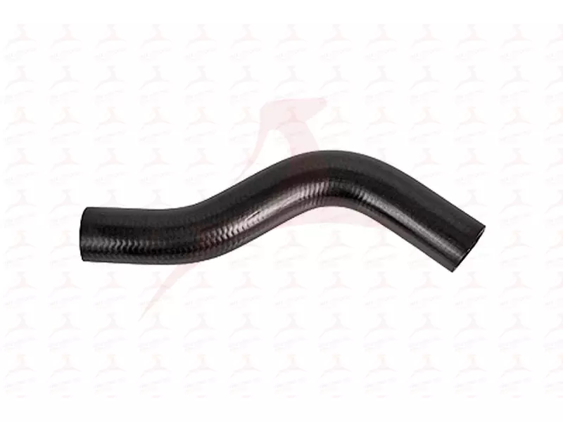 RADIATOR HOSE ( FRONT )