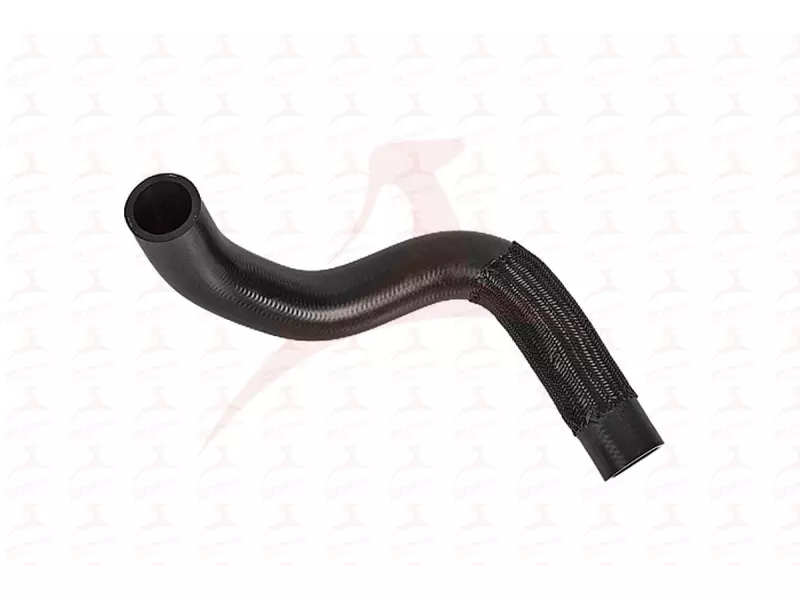 RADIATOR HOSE ( FRONT )