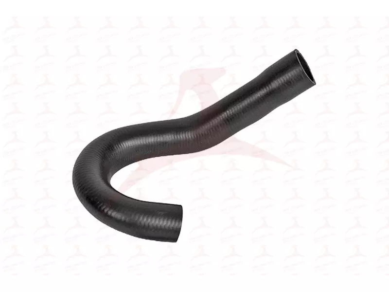 RADIATOR HOSE ( UPPER )