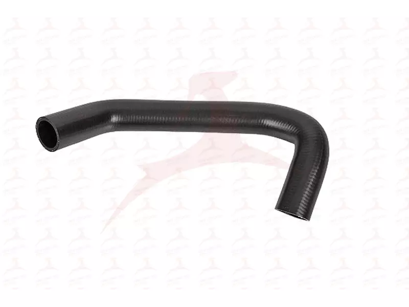 RADIATOR HOSE ( LOWER )