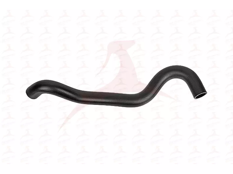RADIATOR HOSE ( LOWER )