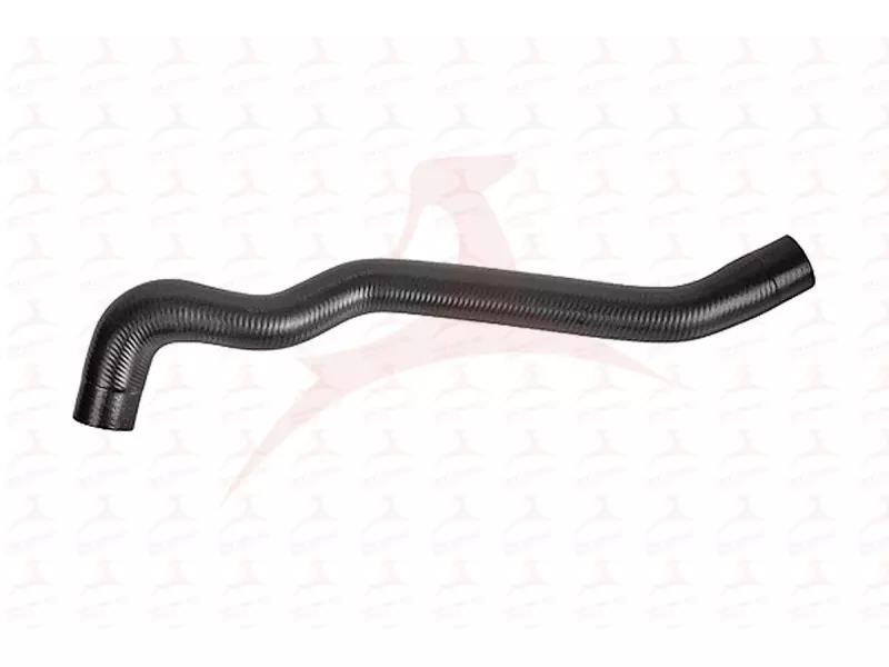 RADIATOR HOSE ( UPPER )