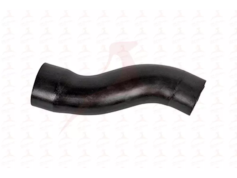 FUEL HOSE