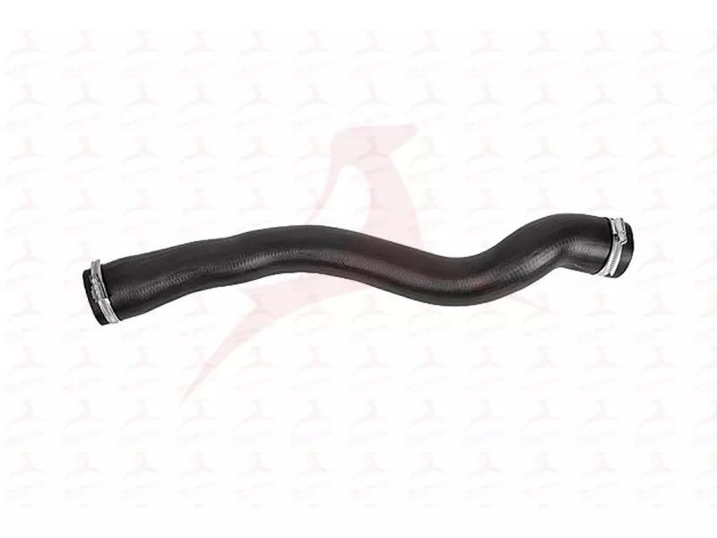 CHARGE AIR HOSE ( LOWER )