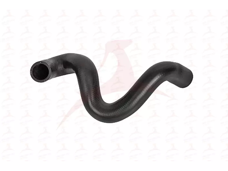 RADIATOR HOSE ( LOWER )