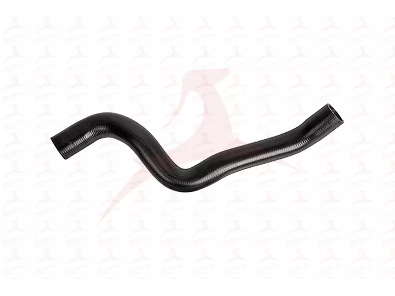 RADIATOR HOSE ( LOWER )