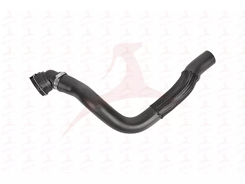 RADIATOR HOSE ( UPPER )