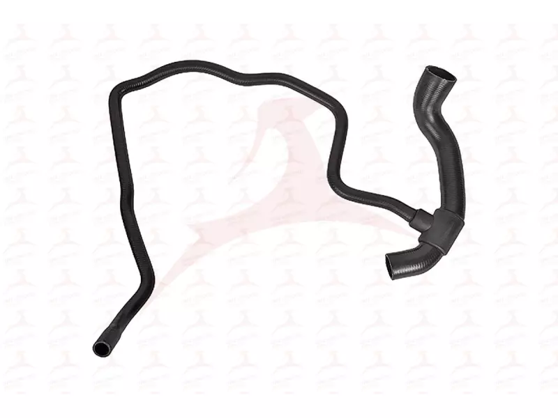 RADIATOR HOSE ( LOWER )
