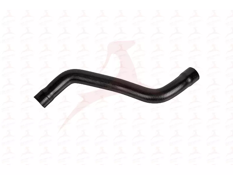 RADIATOR HOSE ( UPPER )