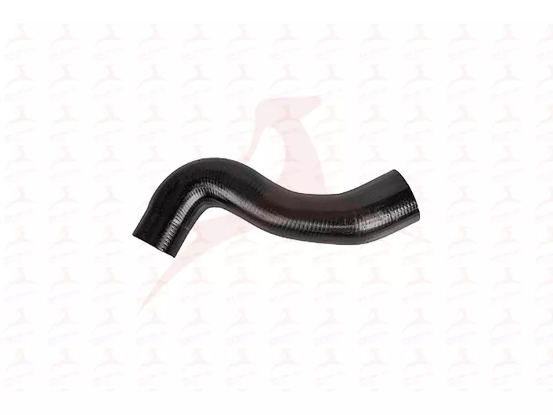 RADIATOR HOSE ( UPPER )