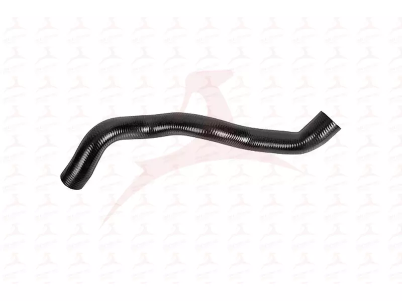RADIATOR HOSE ( UPPER )