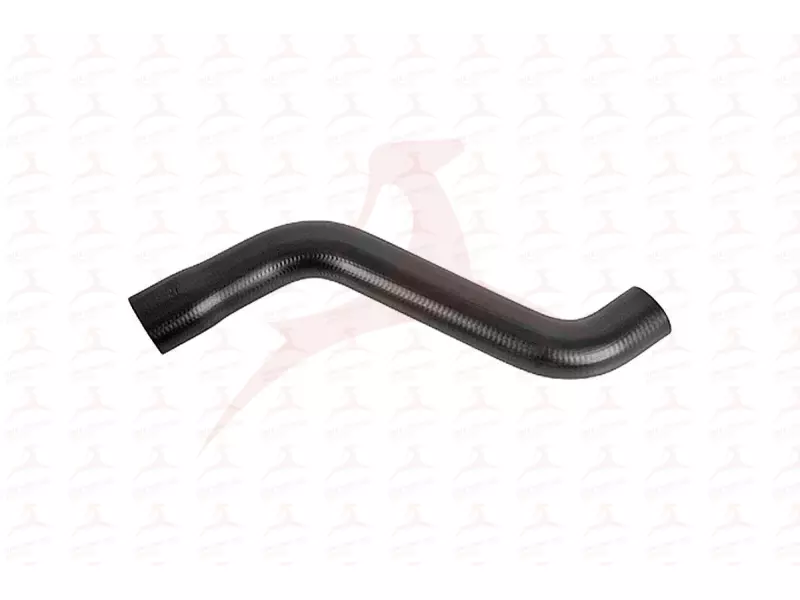 RADIATOR HOSE ( LOWER )