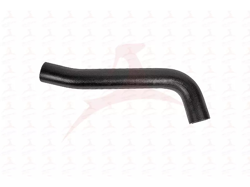 FUEL HOSE