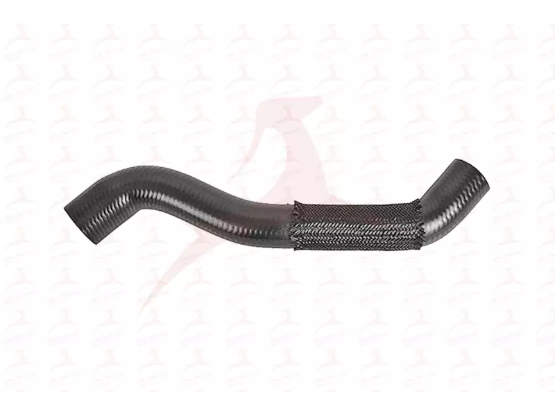 RADIATOR HOSE ( UPPER )