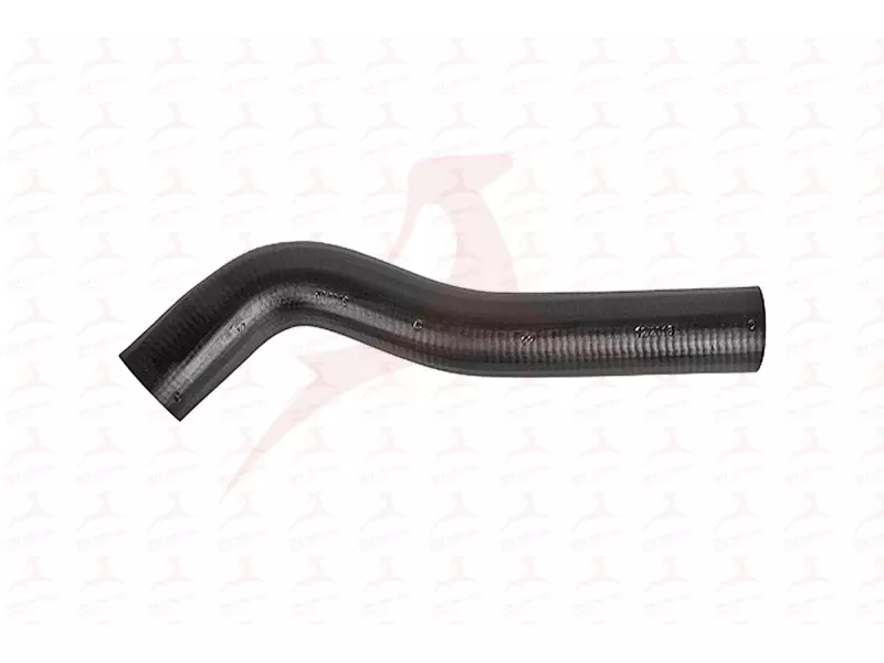 RADIATOR HOSE ( UPPER )